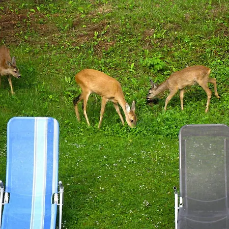 דירה Waldblick By Interhome *
