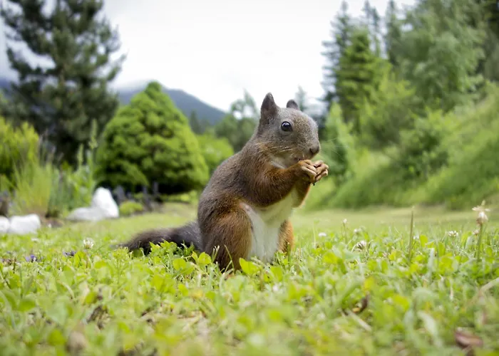 Waldblick By Interhome * سيفيلد ان تيرول