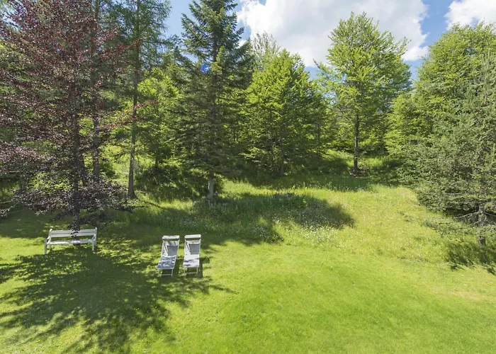 Waldblick By Interhome Seefeld in Tirol